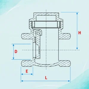 Check Valve