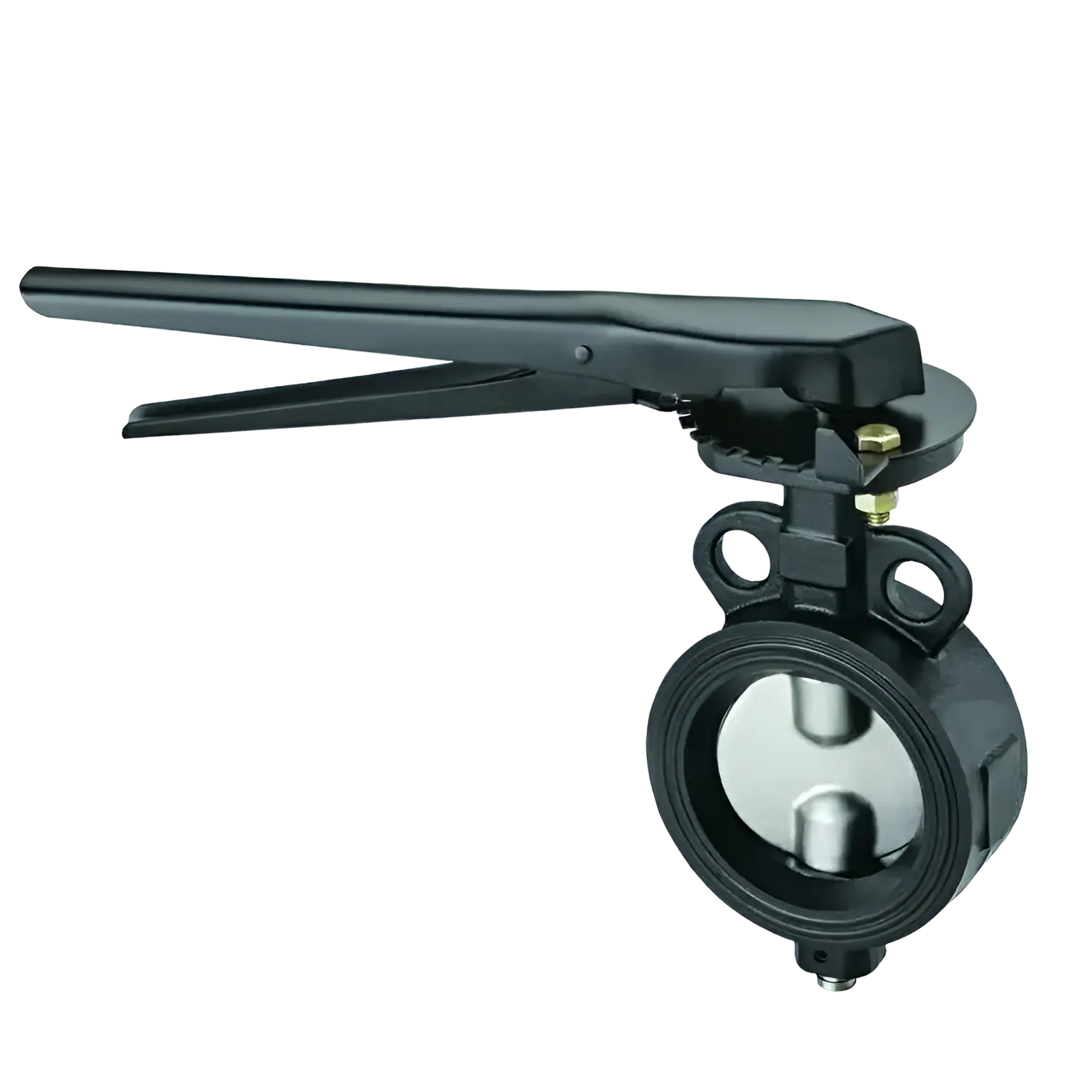 CI butterfly valve