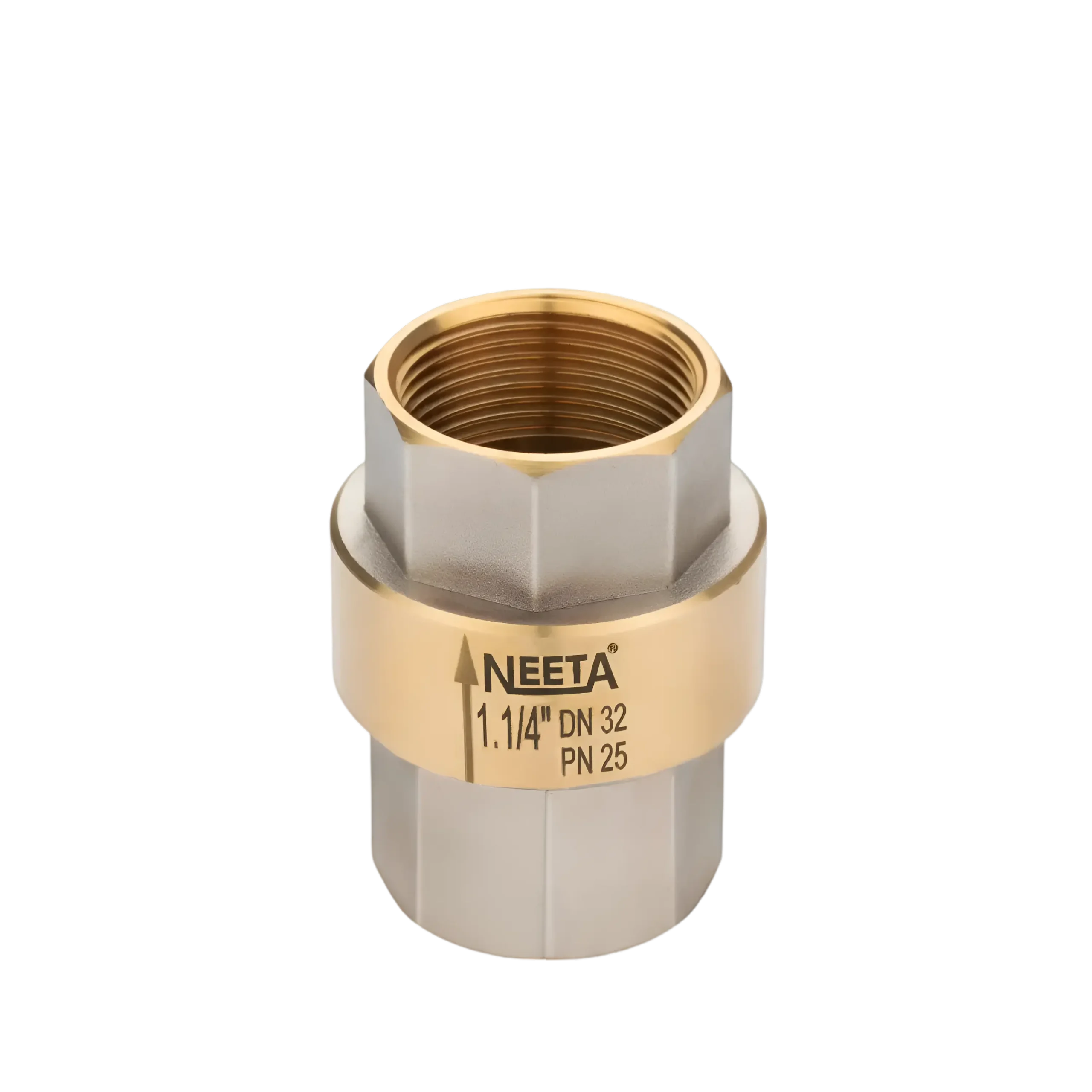 verticle check valve